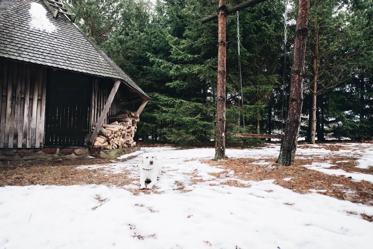 Виллы Pakaso sodyba Kirdeikiai-44